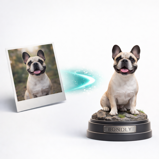 3-Photo Upload Figure (1–4 Photos) Bust or Full-Body